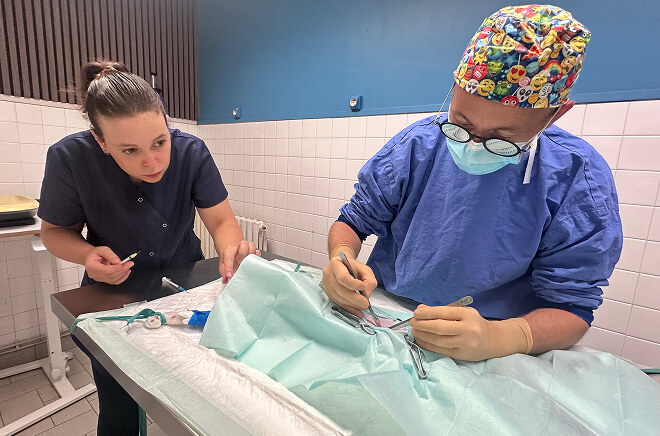 LV-Chirurgie Chirurgie vétérinaire