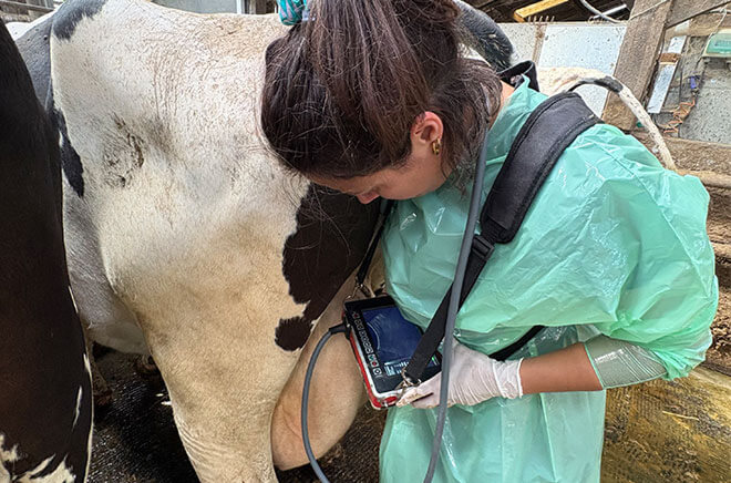 LV-Medecine-Individuelle Médecine individuelle bovine, médecine rurale, services ruminants
