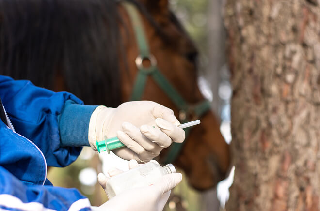 LV-Vaccination Vaccination chevaux
